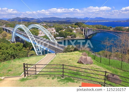 [Nagasaki Prefecture] Cherry blossoms in full bloom and the Saikai Bridge and Shin-Saikai Bridge (Harioseto) 125210257
