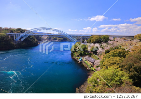 [Nagasaki Prefecture] Cherry blossoms in full bloom and Shin-Saikai Bridge (Harioseto) 125210267