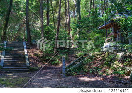 Nijo Mountain Foothills Shikinai Taima Yamaguchi Shrine Kasuga Wakamiya Shrine April 14, 2025 Nijo Mountain Foothills Shikinai Taima Yamaguchi Shrine Kasuga Wakamiya Shrine April 14, 2025 125210453