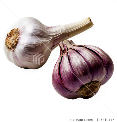 garlic on transparent background garlic on transparent background 125210547