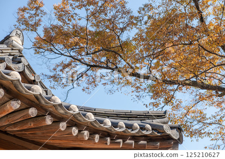 Korean Traditional Building in Secret Garden or Huwon of Changdeokgung Palace with ceautiful autumn foliage. It was used as a place of leisure by members of the royal family 125210627