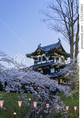 高田城公園的櫻花盛開。夜間亮燈 125210662