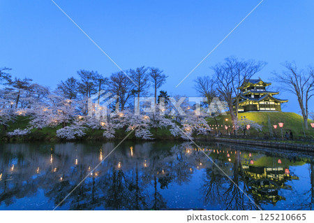 高田城公園的櫻花盛開。夜間亮燈 高田城公園的櫻花盛開。夜間亮燈 125210665