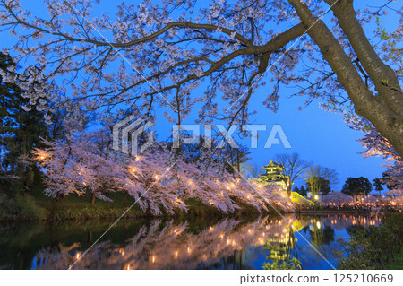 高田城公園的櫻花盛開。夜間亮燈 高田城公園的櫻花盛開。夜間亮燈 125210669