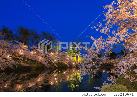 高田城公園的櫻花盛開。夜間亮燈 125210671