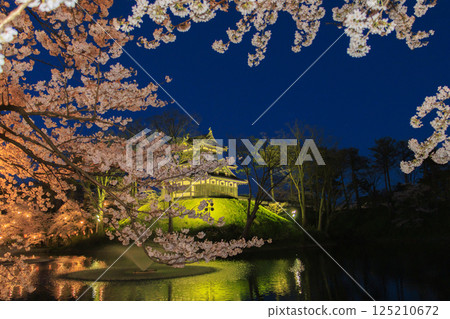 高田城公園的櫻花盛開。夜間亮燈 高田城公園的櫻花盛開。夜間亮燈 125210672