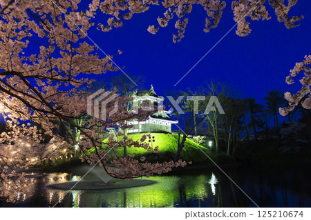 Cherry blossoms in full bloom at Takada Castle Park. Illuminated at night 125210674