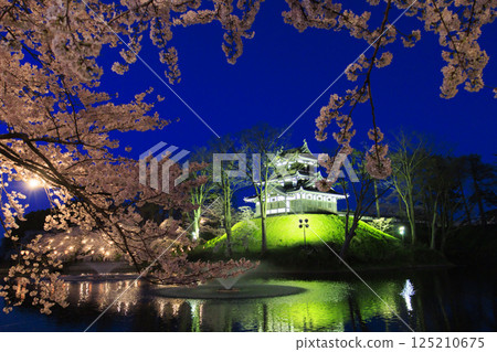 Cherry blossoms in full bloom at Takada Castle Park. Illuminated at night Cherry blossoms in full bloom at Takada Castle Park. Illuminated at night 125210675
