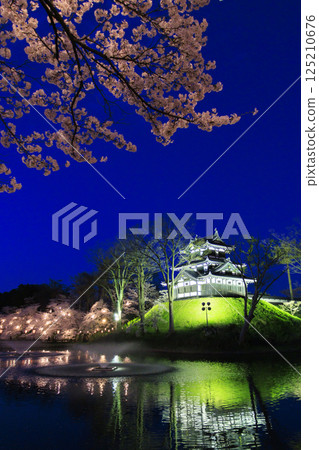 高田城公園的櫻花盛開。夜間亮燈 高田城公園的櫻花盛開。夜間亮燈 125210676