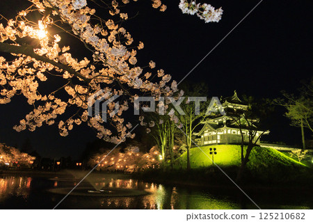 高田城公園的櫻花盛開。夜間亮燈 高田城公園的櫻花盛開。夜間亮燈 125210682