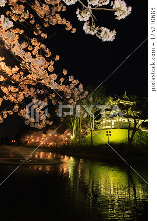 高田城公園的櫻花盛開。夜間亮燈 125210683
