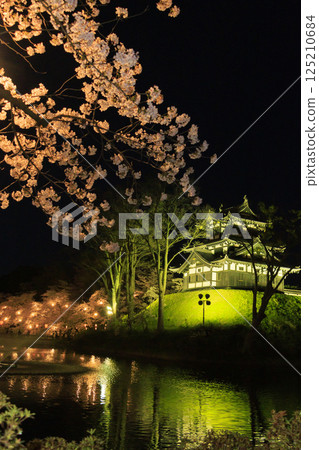 高田城公園的櫻花盛開。夜間亮燈 高田城公園的櫻花盛開。夜間亮燈 125210684