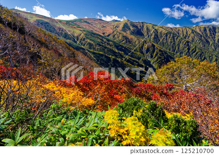 Autumnal Iide mountain range - main ridge seen from Daigura Ridge Autumnal Iide mountain range - main ridge seen from Daigura Ridge 125210700