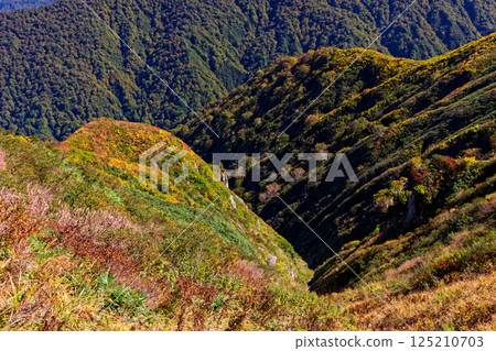 從飯豐山脈的大藏嶺眺望山腰的紅葉 從飯豐山脈的大藏嶺眺望山腰的紅葉 125210703