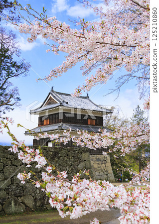 櫻花盛開的上田城跡公園 櫻花盛開的上田城跡公園 125210860