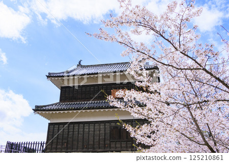 Cherry blossoms in full bloom at Ueda Castle Park 125210861