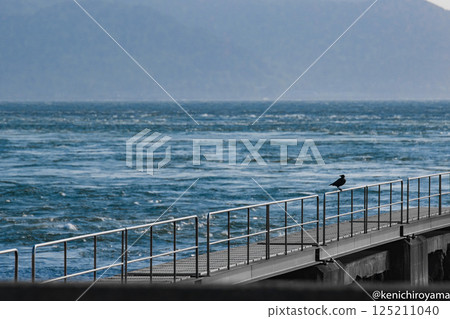 瀨戶崎 早崎海峽 長崎口之津 瀨戶崎 早崎海峽 長崎口之津 125211040