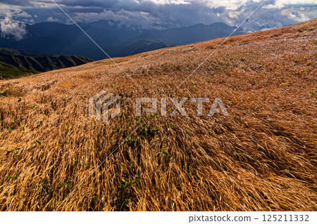 Autumn foliage and the mountain range at dusk on Mt. Monnai in the Iide mountain range 125211332