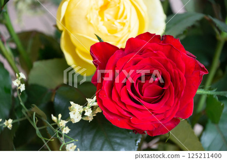 Red and yellow roses 125211400