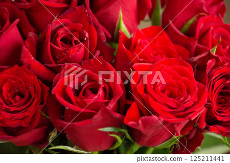 Red roses 125211441