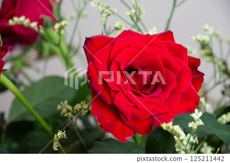Red roses 125211442