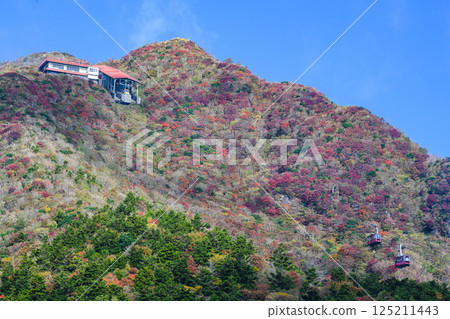 Nita Pass Autumn leaves Unzen 125211443