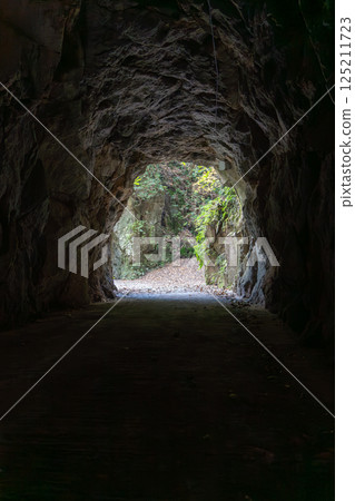 Sannomiya Gorge Hand-Dug Tunnel Kobayashi City, Miyazaki Prefecture Sannomiya Gorge Hand-Dug Tunnel Kobayashi City, Miyazaki Prefecture 125211723