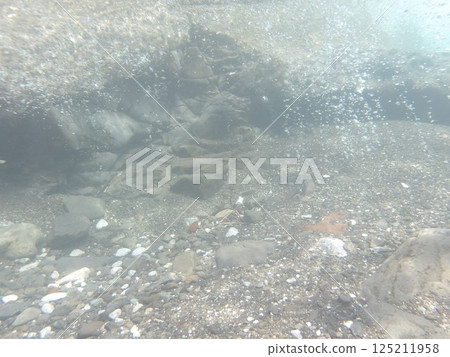 Bubbles in a clear stream Bubbles in a clear stream 125211958