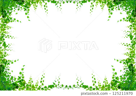 vine frame leaf vine circle Isolate on transparent background PNG file vine frame leaf vine circle Isolate on transparent background PNG file 125211970