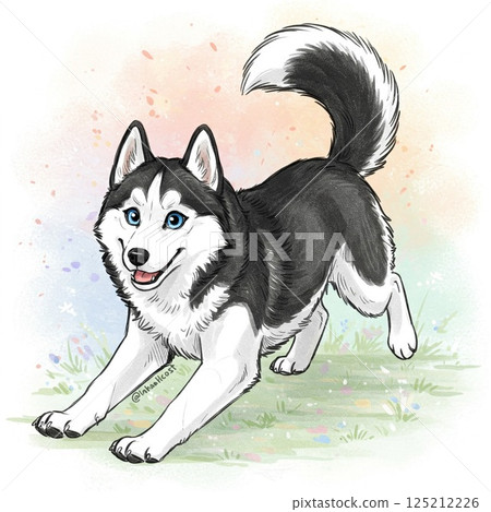 Syrian husky painted in watercolor 125212226