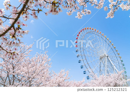 Expo 2005 Commemorative Park, Ferris wheel and cherry blossoms in full bloom (Nagakute, Aichi Prefecture) Expo 2005 Commemorative Park, Ferris wheel and cherry blossoms in full bloom (Nagakute, Aichi Prefecture) 125212321