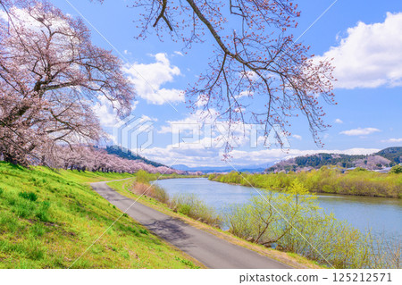 宮城縣小河原町市目千本櫻 125212571