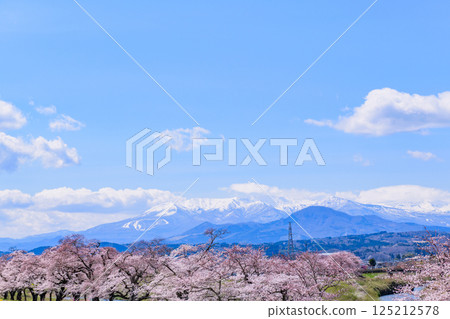 宮城縣小河原町市目千本櫻 125212578