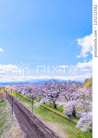 宮城縣小河原町市目千本櫻 宮城縣小河原町市目千本櫻 125212582