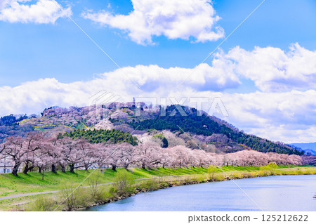 宮城縣小河原町市目千本櫻 125212622