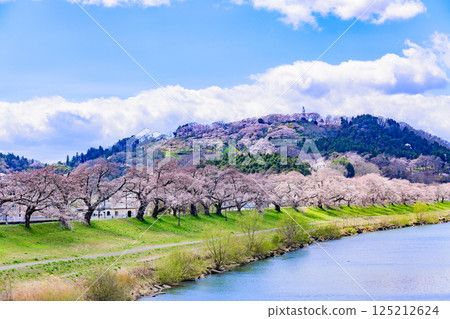 Ichimoku Senbonzakura, Ogawara Town, Miyagi Prefecture 125212624