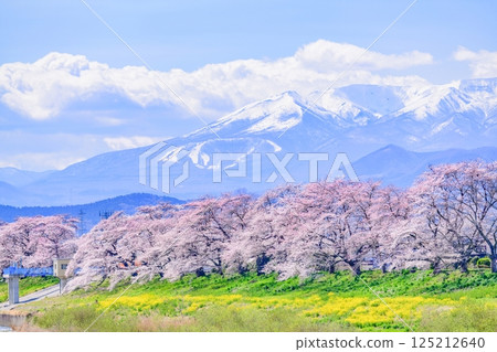 宮城縣小河原町市目千本櫻 125212640