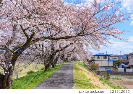 宮城縣小河原町市目千本櫻 125212655