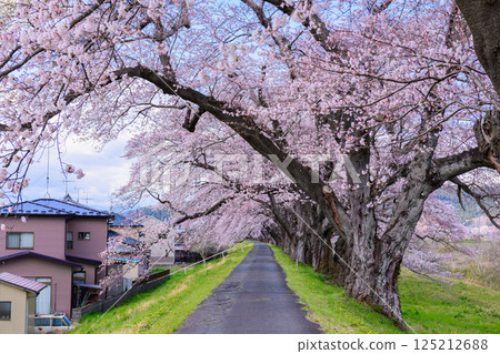 宮城縣小河原町市目千本櫻 125212688