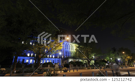 Spring on Japan Boulevard (night view) Spring on Japan Boulevard (night view) 125212742