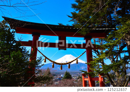 Spring: Shinkura Fuji Sengen Shrine Torii 125212837