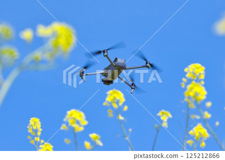 中圖:無人機飛過春天的花田 中圖:無人機飛過春天的花田 125212866