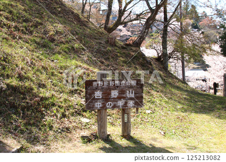 A thousand cherry blossom trees in Mount Yoshino, a famous cherry blossom spot A thousand cherry blossom trees in Mount Yoshino, a famous cherry blossom spot 125213082