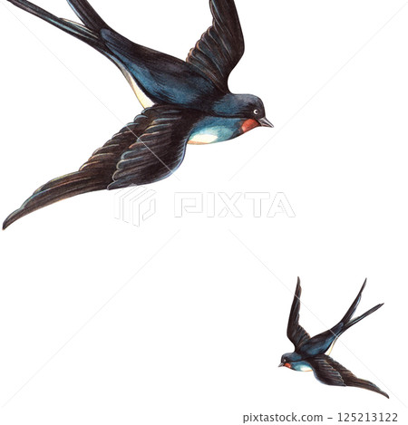 Swallows birds square frame in vintage style. Hand drawn romantic watercolor isolated animal template. Perfect for retro postcard, Valentine's day or wedding decoration, spring arrangement, love cards 125213122