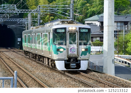 Aichi Loop Railway 2000 series green carriage Aichi Loop Railway 2000 series green carriage 125213312