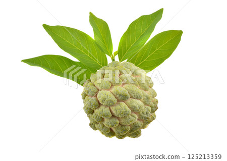 Custard apple isolate on white background 125213359