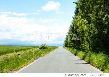 Early summer scenery with a refreshing rural road in Biei, Hokkaido Early summer scenery with a refreshing rural road in Biei, Hokkaido 125213466