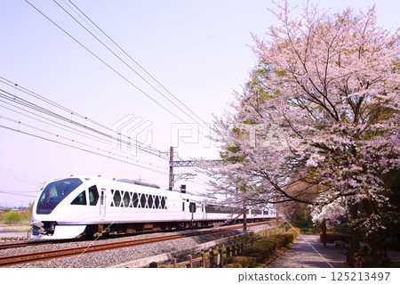 日光市：Spacia X與貫穿日光市的櫻花 125213497