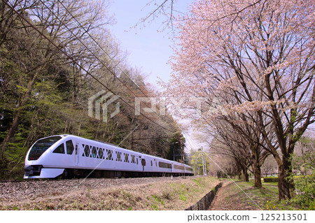 Nikko City: Spacia X and mountain cherry blossoms running through Nikko City 125213501