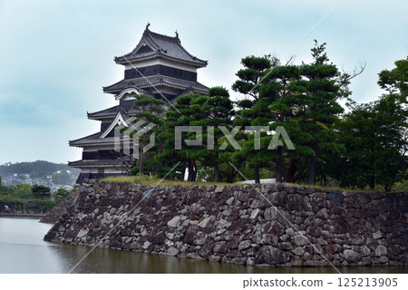 Looking up at Matsumoto Castle's castle tower 125213905